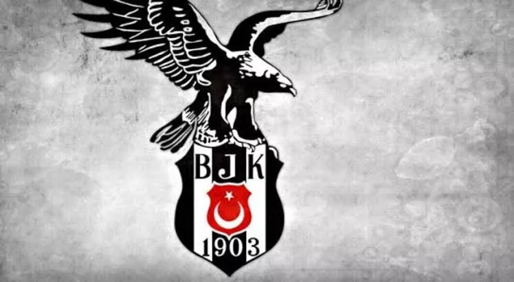 Beşiktaş Jimnastik Kulübü