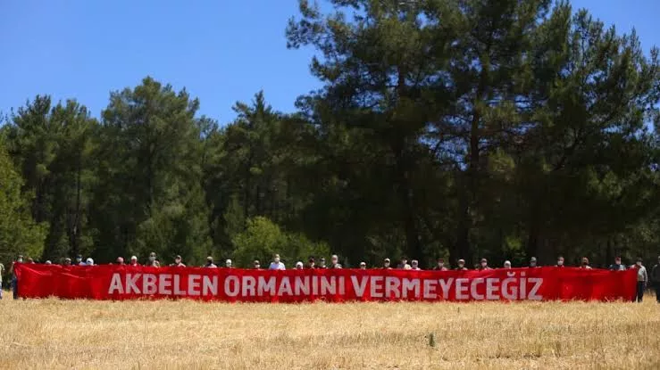 Akbelen Ormanı