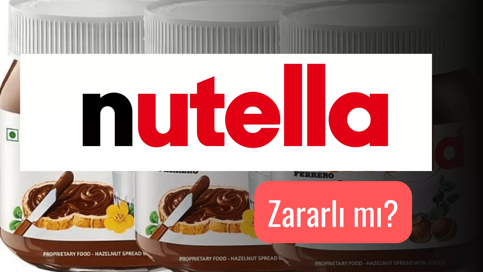 Nutella Gerçekleri, Nutella Zararlarlı mı?