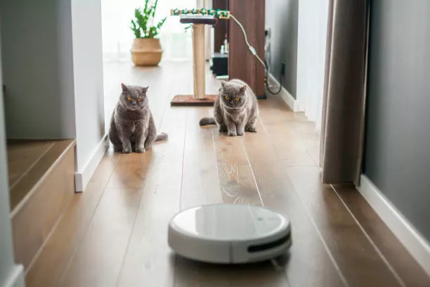 Robot Süpürge