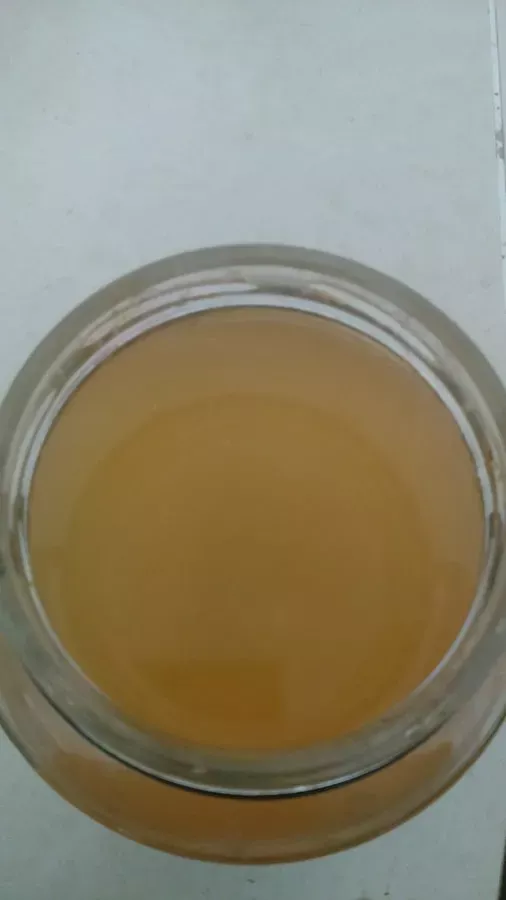 Çam kozalağı sirkesi