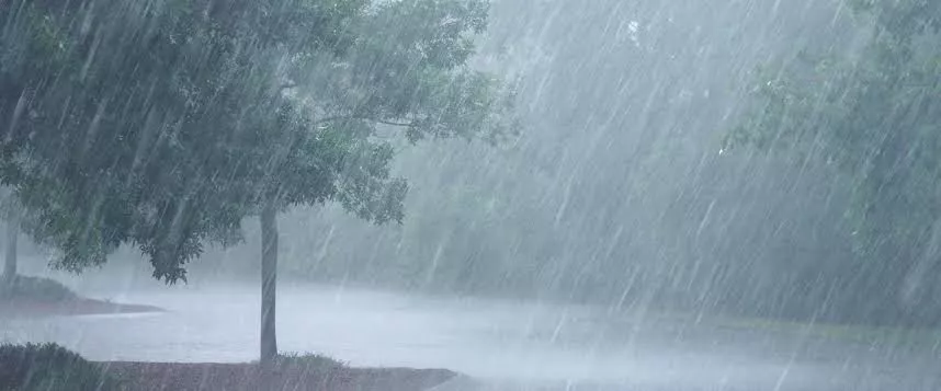 Yağmur Sonrası Toprak Kokusu