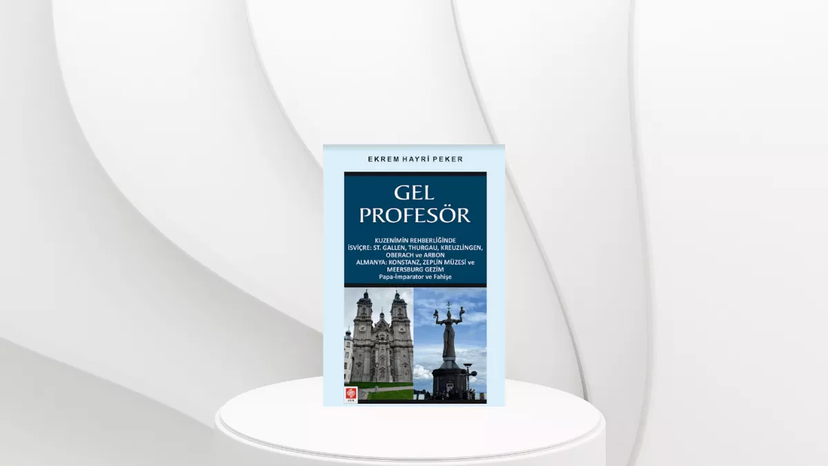 Gel Profesör - Ekrem Hayri PEKER