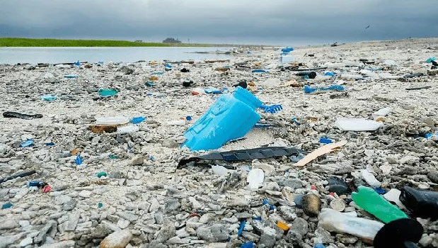 Plastisfer: Plastik Kirliliğinin Gizli Mikrobiyal Tehdidi