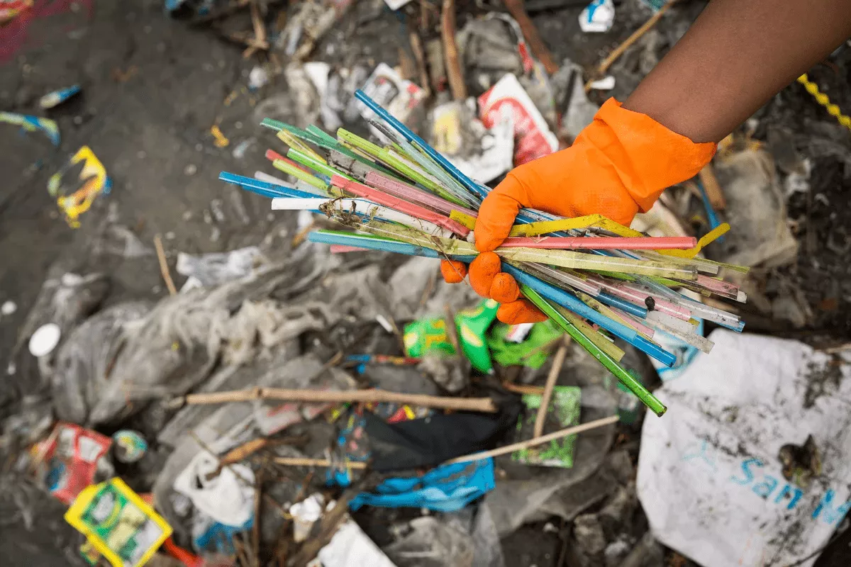 Plastik Atık Krizi: Dünyanın Geleceği Tehlikede