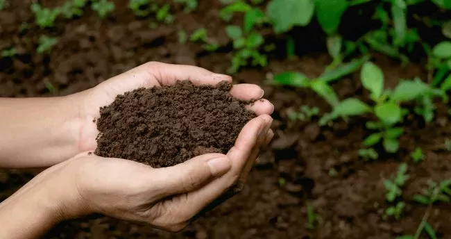5 Aralık Dünya Toprak Günü Bizlere Sağladığı Bütün Katkılardan Dolayı Kutlu Olsun