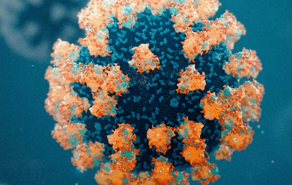 COVID-19 Sonrası Spike Proteinlerinin Beyin ve Vücut Üzerindeki Uzun Vadeli Etkileri