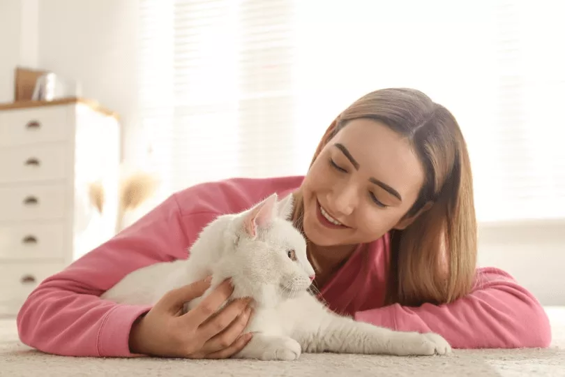 Kedilerin Bilişsel Dünyası: Sahiplerini Ne Kadar Tanıyorlar?