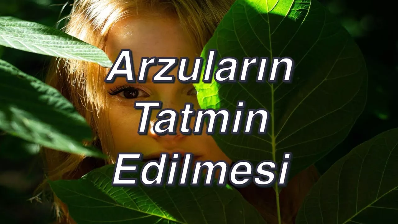 Arzularımızın Tatmin Edilmesi