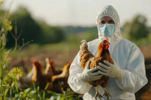 H9N2 Kuş Gribi: Göz Ardı Edilen Tehdit ve Pandemi Potansiyeli