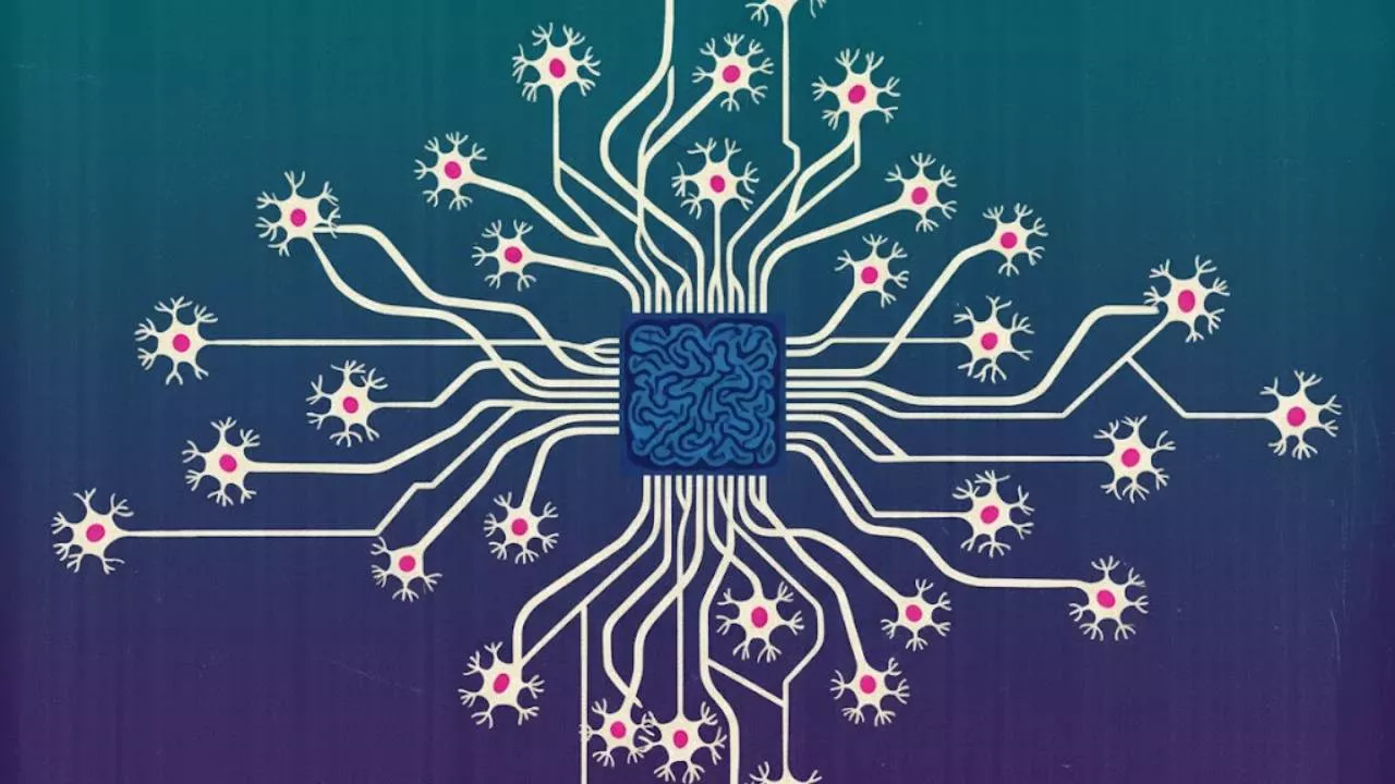 İnsan Beyin Hücreleriyle Çalışan Bilgisayarlar: Biocomputing'in Yükselişi