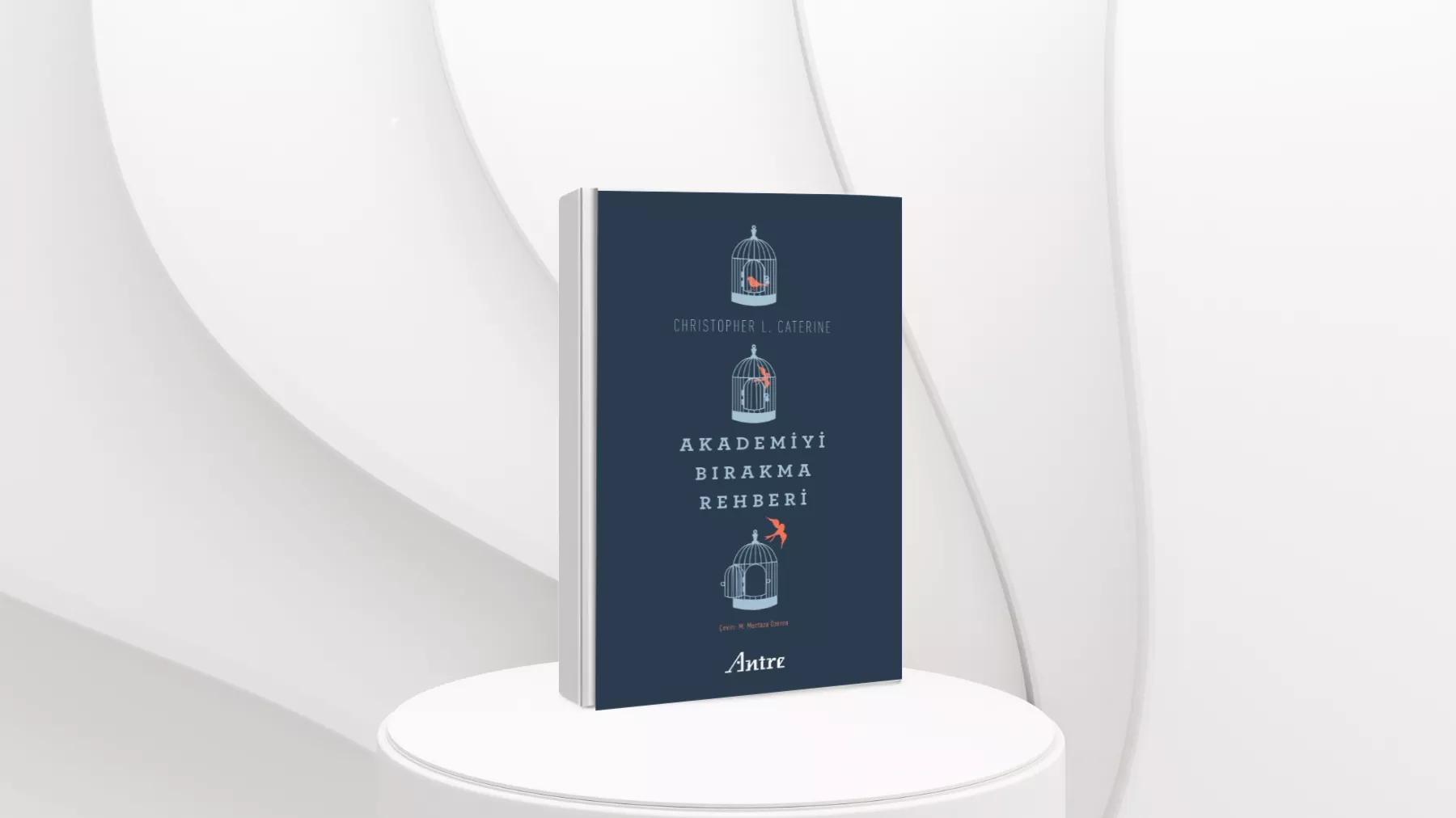 Akademiyi Bırakma Rehberi Adlı Kitabın Özeti
